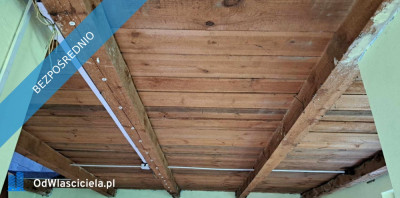 Sprzedam siedlisko 4000 m2 - Luta  -
świętokrzyskie Zdjęcie nr 6