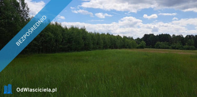 Sprzedam siedlisko 4000 m2 - Luta  -
świętokrzyskie Zdjęcie nr 8