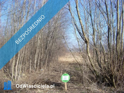 Sprzedam działkę - Żarnów  -
łódzkie Zdjęcie nr 2