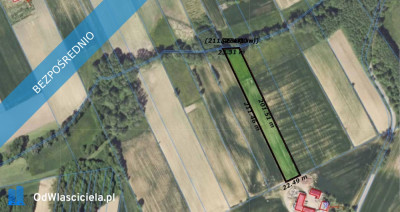 Piękna działka rolna w miejscowości Momina - Momina  -
świętokrzyskie Zdjęcie nr 3