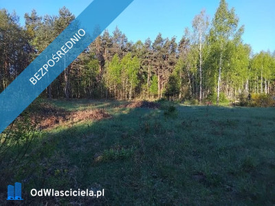 Działka m Pańki  - Pańki  -
podlaskie Zdjęcie nr 2