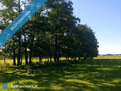 Działka Siedliskowa na sprzedaż  Rażny  - Rażny  -
mazowieckie Zdjęcie nr 2