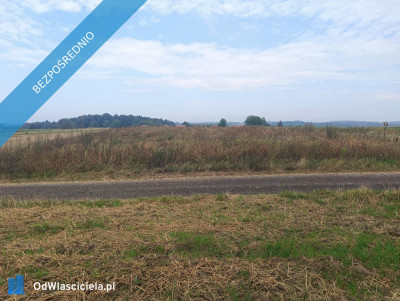 Nieruchomość gruntowa z zabudową - Wierzchowiska - Wierzchowiska Pierwsze  -
lubelskie Zdjęcie nr 12