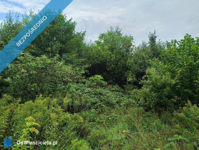 Nieruchomość gruntowa z zabudową - Wierzchowiska - Wierzchowiska Pierwsze  -
lubelskie Zdjęcie nr 15