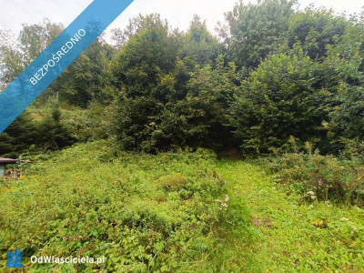 Nieruchomość gruntowa z zabudową - Wierzchowiska - Wierzchowiska Pierwsze  -
lubelskie Zdjęcie nr 17