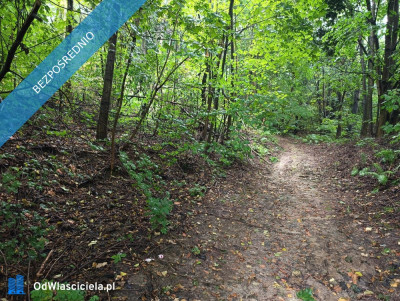 Nieruchomość gruntowa z zabudową - Wierzchowiska - Wierzchowiska Pierwsze  -
lubelskie Zdjęcie nr 20