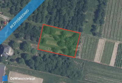 Działka w miejscowości Grębynice - Grębynice  -
małopolskie Zdjęcie nr 3