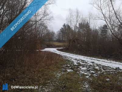 Działka 4265 w Pręgowie Górnym - Pręgowo  -
pomorskie Zdjęcie nr 3