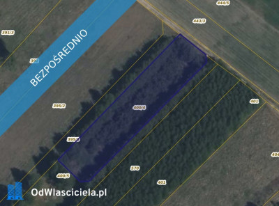 Działka w Korytowie - Korytów  -
mazowieckie Zdjęcie nr 2