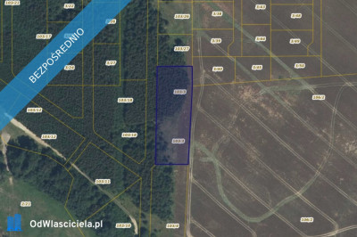 Działka 1033 w miejscowości Cieszyn - Cieszyn  -
zachodniopomorskie Zdjęcie nr 2