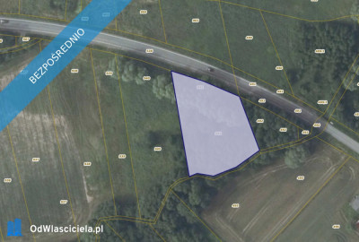 Działka 941 w miejscowości Trąbki - Trąbki  -
małopolskie Zdjęcie nr 2