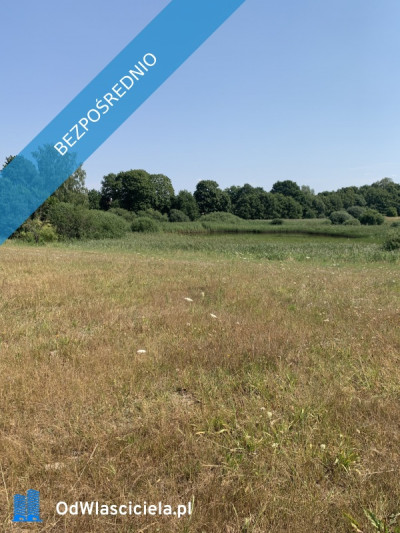 Sprzedam działki nad jeziorem - Drawsko Pomorskie  -
zachodniopomorskie Zdjęcie nr 10