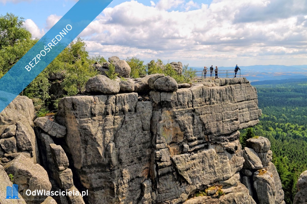 Sprzedam działkę obok Polanicy-Zdroju-SUDETY-GORY STOLOWE - Niwa  -
dolnośląskie Zdjęcie nr 1