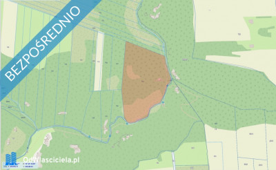 Duża działka rolno-leśna w Będkowicach ok 232ha gmina Wielka Wieś - Będkowice  -
małopolskie Zdjęcie nr 3