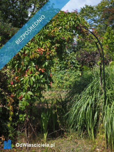 Sprzedam działkę ROD Ursynów - Ursynów  -
mazowieckie Zdjęcie nr 11