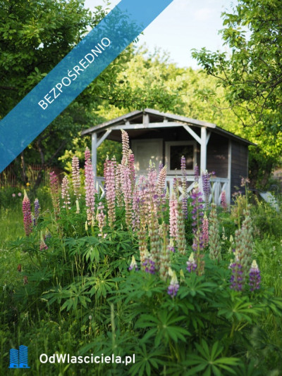 Sprzedam działkę ROD Ursynów - Ursynów  -
mazowieckie Zdjęcie nr 6