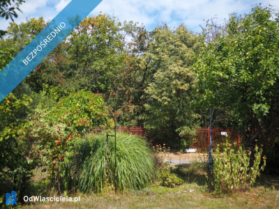 Sprzedam działkę ROD Ursynów - Ursynów  -
mazowieckie Zdjęcie nr 7