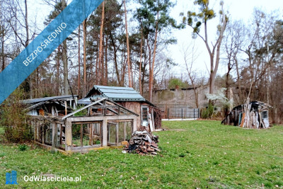 Budowlana działka z domem 1948 m2 Radom - Rajec Poduchowny - Rajec Poduchowny  -
mazowieckie Zdjęcie nr 7