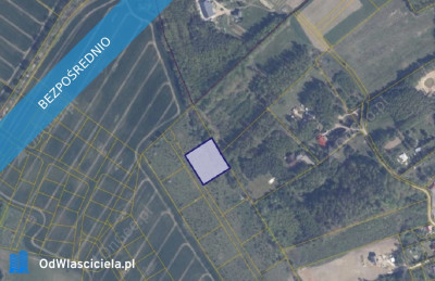 Działka 22316 w miejscowości Warcz - Warcz  -
pomorskie Zdjęcie nr 2