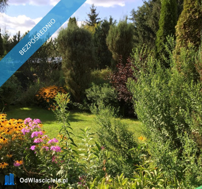 Działka rekreacyjna ROD - Ząbki  -
mazowieckie Zdjęcie nr 9