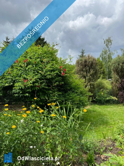 Działka rekreacyjna ROD - Ząbki  -
mazowieckie Zdjęcie nr 11