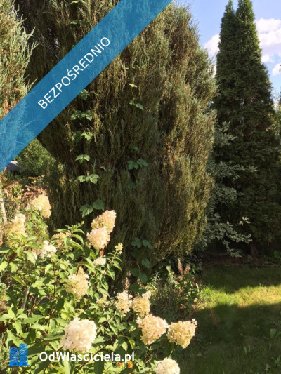 Działka rekreacyjna ROD - Ząbki  -
mazowieckie Zdjęcie nr 12