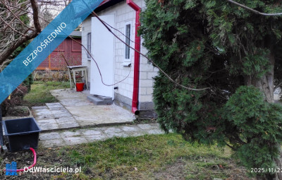 Działka rekreacyjna ROD - Ząbki  -
mazowieckie Zdjęcie nr 2