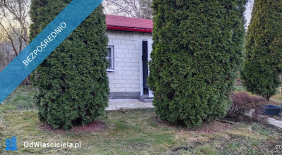 Działka rekreacyjna ROD - Ząbki  -
mazowieckie Zdjęcie nr 3