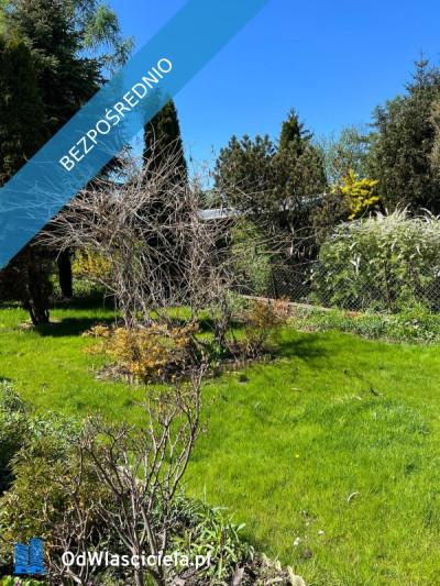 Działka rekreacyjna ROD - Ząbki  -
mazowieckie Zdjęcie nr 6