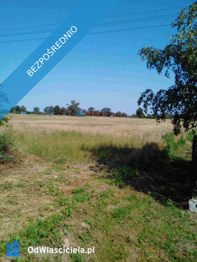 Sprzedam działkę z dobrym dostępem do drogi asfaltowej - Nowy Dwór Gdański  - pomorskie