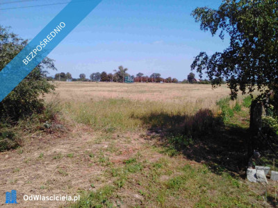 Sprzedam działkę z dobrym dostępem do drogi asfaltowej - Nowy Dwór Gdański  -
pomorskie Zdjęcie nr 3