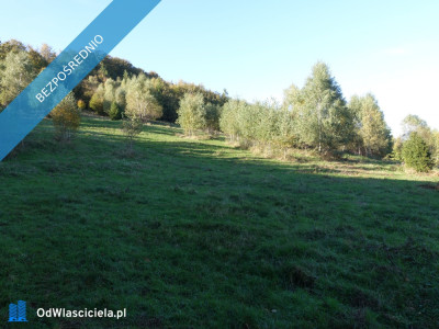 Brenna 253 ha działka inwestycyjna blisko wyciągu - Brenna  -
śląskie Zdjęcie nr 15