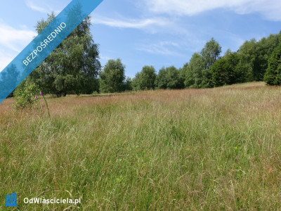 Brenna 253 ha działka inwestycyjna pod pensjonaty zabudowe jednorodzinną - Bielsko-Biała  -
śląskie Zdjęcie nr 14