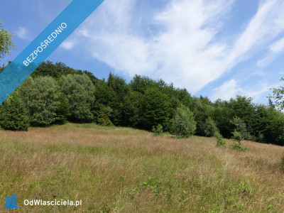 Brenna 253 ha działka inwestycyjna pod pensjonaty zabudowe jednorodzinną - Bielsko-Biała  -
śląskie Zdjęcie nr 6