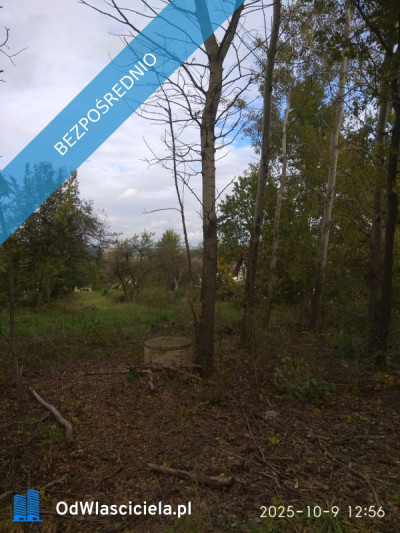 Działka budowlana inwestycyjna 31a malowniczy Beskid Niski - Lipinki  -
małopolskie Zdjęcie nr 6