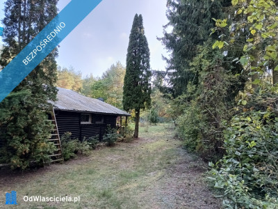 Działka budowlana z domkiem 35 km od Warszawy  - Adamów-Wieś  -
mazowieckie Zdjęcie nr 3