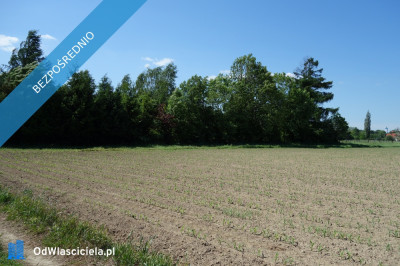 Skoczów Pruchna 115ha pod stadnine zabudowe lux lokalizacja - Skoczów  -
śląskie Zdjęcie nr 9