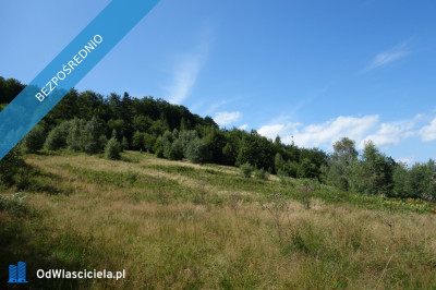 Brenna 253ha inwestycyjna pod pensjonaty domki letniskowe - Katowice  -
śląskie Zdjęcie nr 10