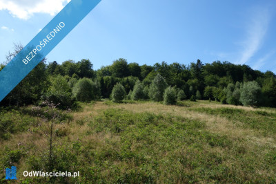 Brenna 253ha inwestycyjna pod pensjonaty domki letniskowe - Katowice  -
śląskie Zdjęcie nr 11