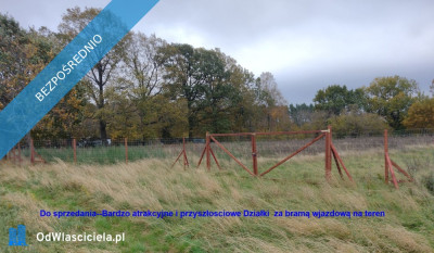 Sprzedam działki w Sasinie koło Łeby - Sasino  - pomorskie