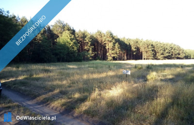 Sprzedam działki w Sosnowcu Wielkim kRynarzewa - Rynarzewo  -
kujawsko-pomorskie Zdjęcie nr 2