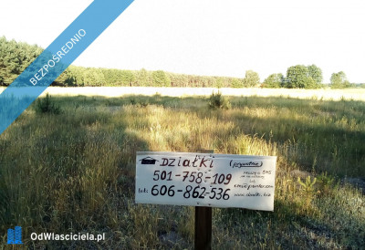 Sprzedam działki w Sosnowcu Wielkim kRynarzewa - Rynarzewo  -
kujawsko-pomorskie Zdjęcie nr 3