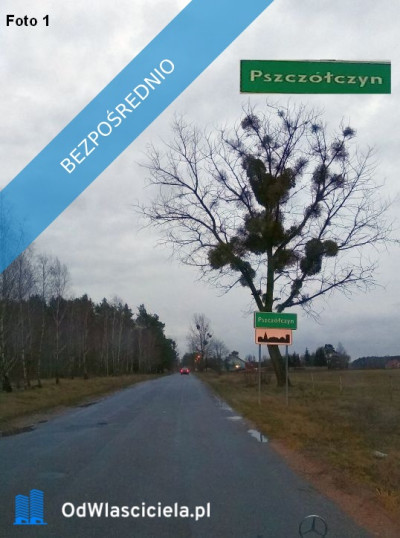 Sprzedam działki w Sosnowcu Wielkim kRynarzewa - Rynarzewo  -
kujawsko-pomorskie Zdjęcie nr 5