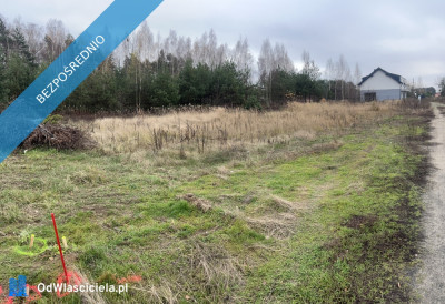 Działka budowlana blisko Zalewu Zegrzyńskiego  - Borowa Góra  -
mazowieckie Zdjęcie nr 3