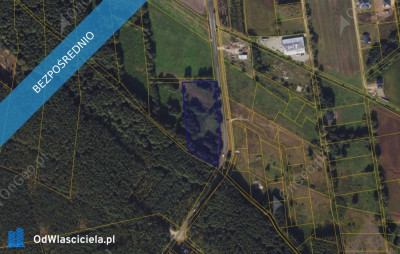 Działka 239 w miejscowości Wielka Nieszawka - Wielka Nieszawka  - kujawsko-pomorskie