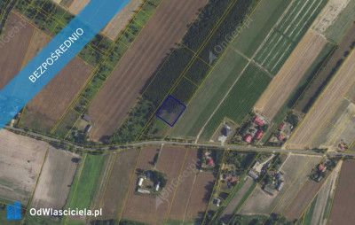 Działka 8910 w miejscowości Kamienica - Kamienica  - mazowieckie