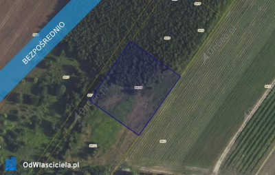 Działka 8910 w miejscowości Kamienica - Kamienica  -
mazowieckie Zdjęcie nr 2