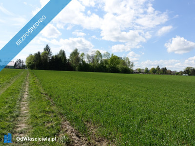 Skoczów Pruchna 115ha w samym centrum z prawem zabudowy widokowa - Katowice  -
śląskie Zdjęcie nr 2