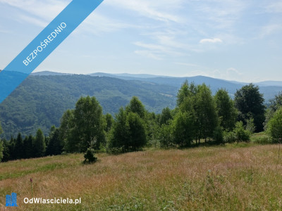 Brenna 253 ha z prawem zabudowy inwestycyjna blisko wyciągu orzczykowego - Ustroń  -
śląskie Zdjęcie nr 2