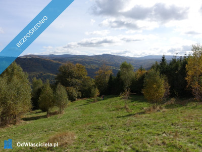 Brenna 253 ha z prawem zabudowy inwestycyjna blisko wyciągu orzczykowego - Ustroń  -
śląskie Zdjęcie nr 5